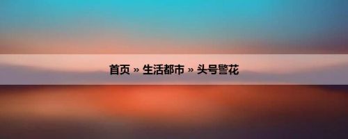 首页 » 生活都市 » 头号警花