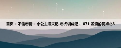 首页 » 不偷恋情 » 小公主追夫记-忠犬训成记 、071 孟浪的何旭北3