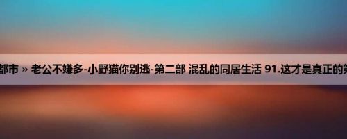 首页 » 生活都市 » 老公不嫌多-小野猫你别逃-第二部 混乱的同居生活 91.这才是真正的第一次3（H）