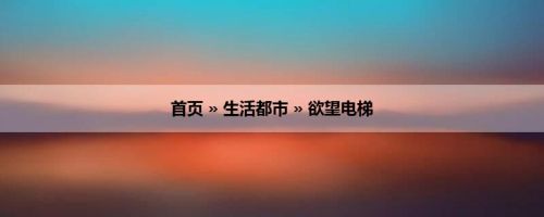 首页 » 生活都市 » 欲望电梯