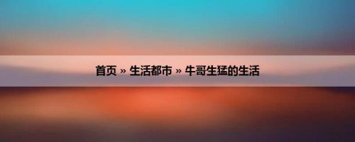 首页 » 生活都市 » 牛哥生猛的生活