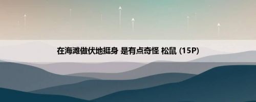 在海滩做伏地挺身 是有点奇怪 松鼠 (15P)