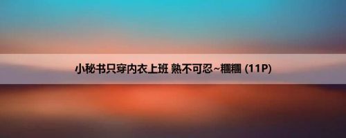小秘书只穿内衣上班 熟不可忍~糰糰 (11P)